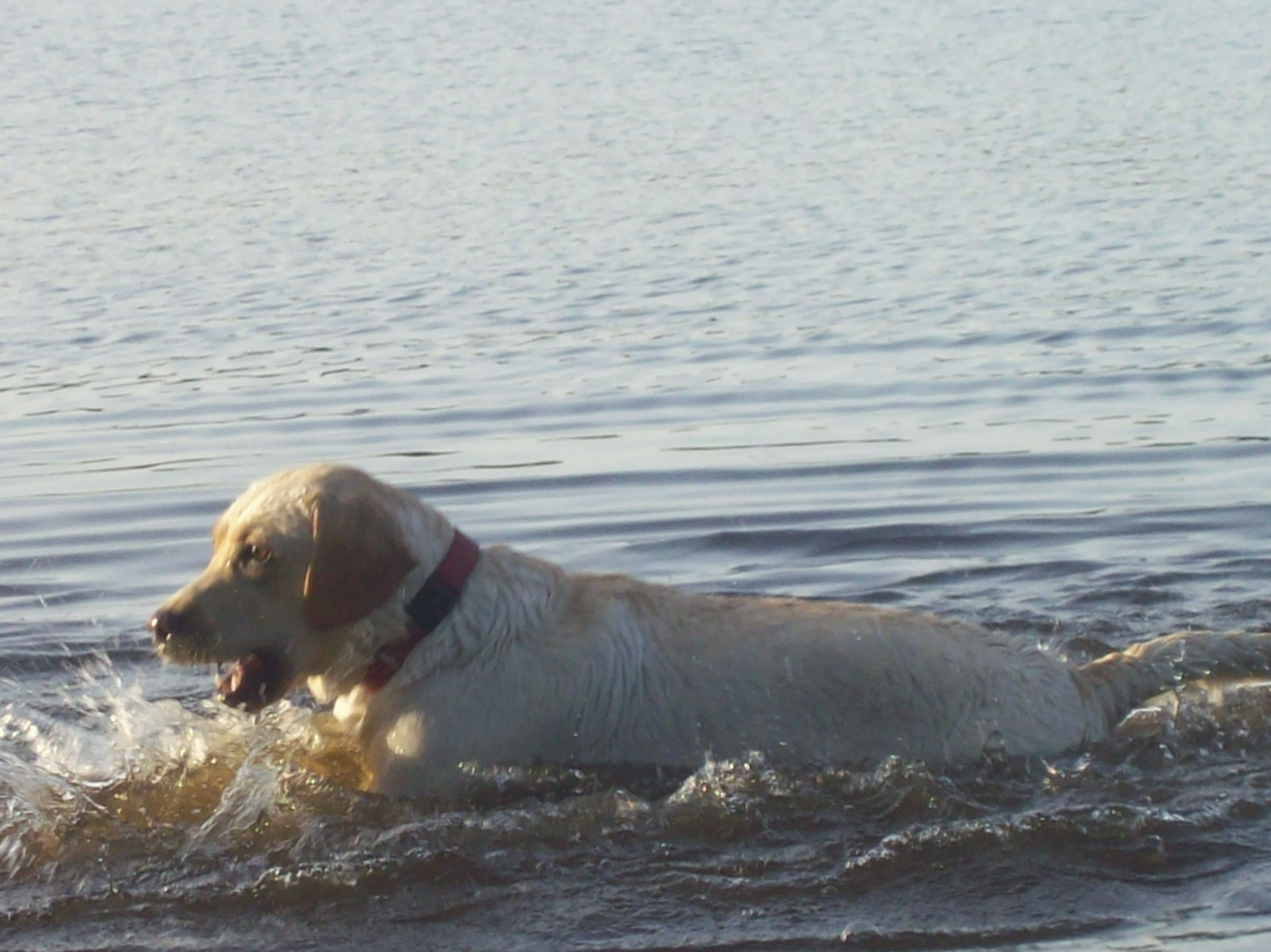 sommarbad sommarbad